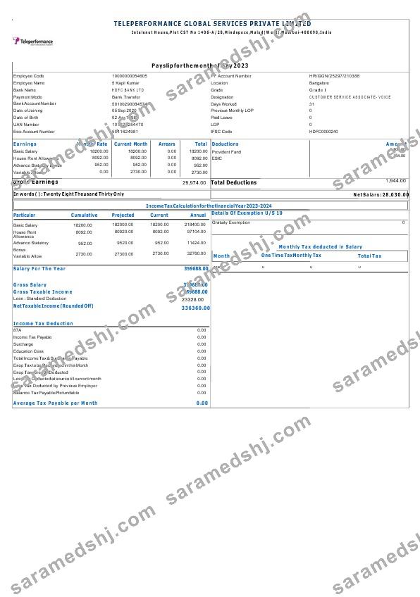 Teleperformance Global Services payslip